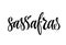 Sassafras - vector hand drawn calligraphy style lettering word.