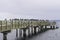 Sassnitz - the closed pier is an oasis of cormorants