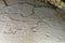 SATAPLIA, KUTAISI, GEORGIA: Dinosaur footprints in Sataplia cave.