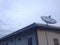 Satellite dish aerial signal television