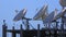 Satellite Dishes Array on a Rooftop