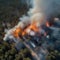 A satellite image of a wildfire spreading rapidly through a forest, releasing plumes of smoke1