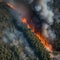 A satellite image of a wildfire spreading rapidly through a forest, releasing plumes of smoke3