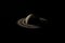 Satellite or moon orbiting over rings of planet Saturn. 3d render