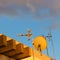 The satellites on the roof of the house with Laughing dove seating on them - Image