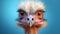 Satirical Ostrich Portraits: Poll The Perched Ostrich In Cinema4d