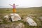 Satisfied child girl stands with arms spread out on a stone on a field with green grass.