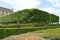 Satisfying green trees next to the Louvre, Paris, France