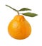 Satsuma Orange Isolated with clipping path