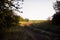 Saturated greenery of the path of the road with bright beam of light. Landscape background Earth Day