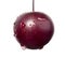 A saturated purple cherry isolated on a white background. A close-up of a single cherry with a little insect. A berry with a worm.