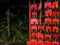 Saturated red torii hanging in temple