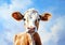 Saturated Sky: A Mobile Background of a Cow with White Face and