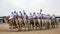 Saudi Arab Camel riders on traditional desert - safari festival in abqaiq Saudi Arabia. 10-Jan-2020