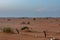 Saudi people on the picnic in the desert