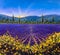 Sault Village in Vaucluse Lavender flower field Provence France Oil painting on canvas