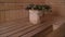 Sauna Accessories In The Interior. Stylish wooden basin with a broom in the sauna. Wooden basin in the sauna