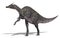 Saurolophus Dinosaur