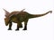 Sauropelta Nodosaurid Dinosaur