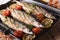 saury grilled with vegetables on the grill pan closeup. horizontal