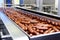 Sausage factory delights: conveyor belt of deliciousness