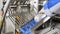 Sausage production line. The process of sausages making at meat factory. Closeup shot of sausages at conveyor. Meat