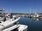 Sausalito Yacht Harbor, San Francisco Bay Area, California, USA