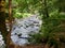 Saut des cuves over the Vologne river