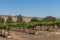 Sauvignon Blanc vines at San Lorenzo Seminary, Santa Inez, CA, USA