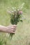 savage flowers bouquet in hand of woman in a meadow