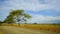 Savana Bekol in Baluran National Park