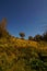 Savana Cikasur is a vast expanse of weeds on Argopuro Mountain