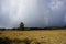 Savana Cikasur is a vast expanse of weeds on Argopuro Mountain