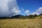 Savana Cikasur is a vast expanse of weeds on Argopuro Mountain