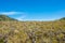 Savana Field, Bromo Tengger National Park, East Java, Indonesia.