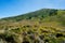 Savana Field, Bromo Tengger National Park, East Java, Indonesia.