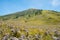 Savana Field, Bromo Tengger National Park, East Java, Indonesia.