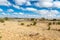 Savana landscape in Africa