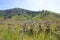 Savana Landscape Of Desert Mountain