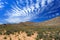 Savanna forest landscape and blue sky in Cape Town