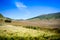 Savanna grassland near Mount Bromo volcanoes in Bromo Tengger Se