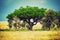 Savanna landscape in Africa, Serengeti, Tanzania