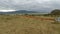 Savanna landscape in kenya