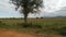 Savanna landscape in kenya