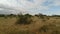 Savanna landscape in kenya