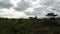 Savanna landscape in kenya