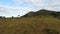 Savanna landscape in kenya