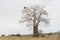 Savanna landscape on Kissama, Angola