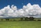 Savanna landscape on the Ngongoro crater, Tanzania