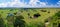 Savanna landscape in Serengeti, Tanzania, Africa